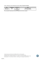 Fotografia 19